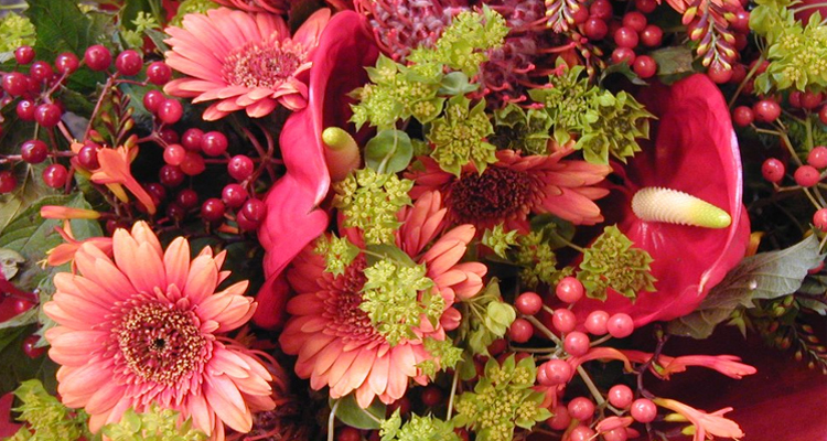 Jemini Flowers Oxford Florist  Order Online or 01865 242726