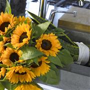 Sunflower Bouquet