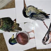 hand drawn bird card